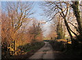 Footpath near Darite