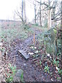 Woodland Track - Upper Bentley Royd