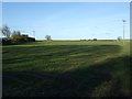 Farmland north of Bridlington Road