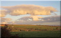 Farmland near Trenouth