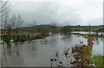 NS3206 : Girvan Valley Flood Plain by Mary and Angus Hogg