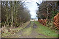 Track at Lawton, near Burrelton