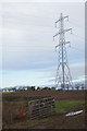 NO1433 : Electricity pylon near Wolfhill by Mike Pennington