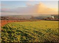 Field near Tremar