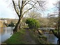 Footpath between the mill dam and Mag Brook