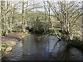 Mag Brook from the footbridge