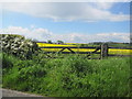 Farmland and View towards Dukesfield