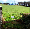 Private woods - please keep out, Crickhowell