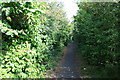 Cycle path alongside A256 Dover Road