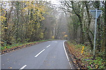 TQ2038 : Partridge Lane by N Chadwick
