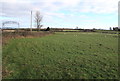 SS8780 : Sheep grazing in a field near Laleston Cemetery by Jaggery
