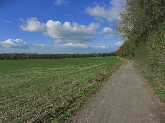 On North Downs Way, SE of Hollingbourne