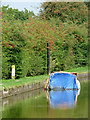 Sunken boat on the Macclesfield Canal