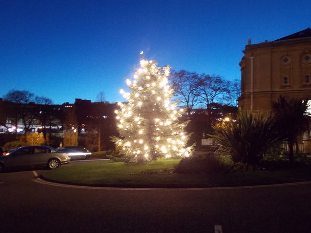 Bournemouth: the Town Hall Christmas tree
