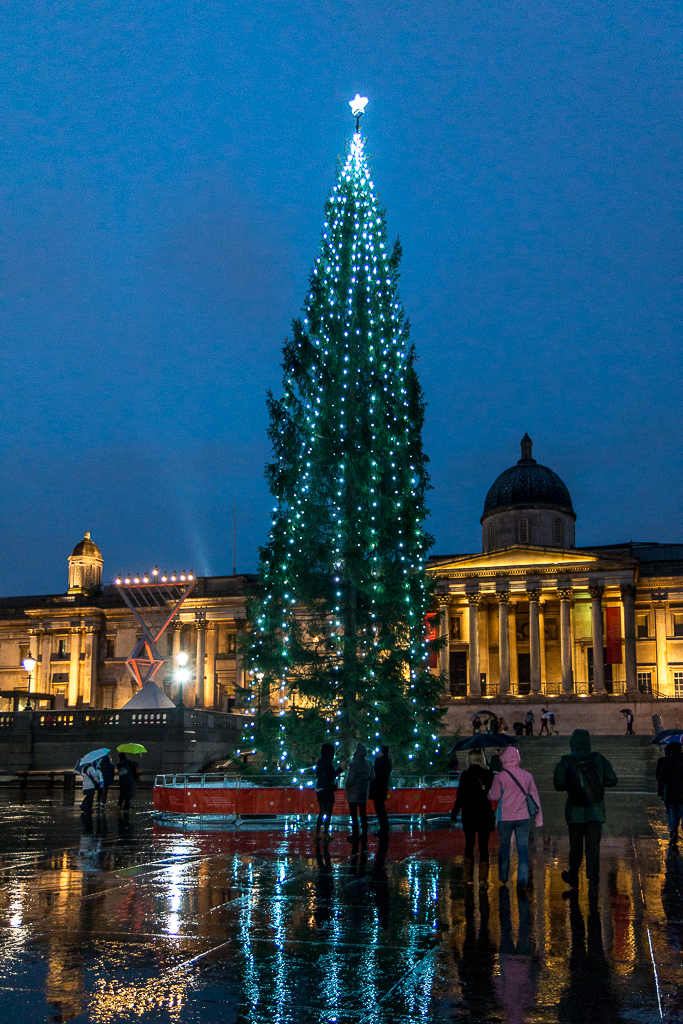 Trafalgar square christmas tree