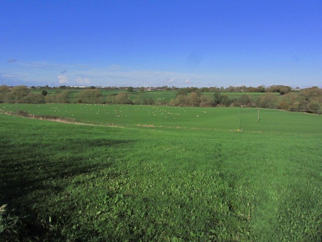 Pastureland W of Sproston Wood, Sproston... © Colin Park cc-by-sa/2.0 ...