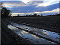 Fields at dusk, W of Padgbury Lane, Congleton