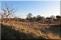 Derelict plot, Greenlawmill