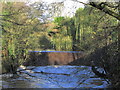 Weir on R Dane at Havannah near Congleton