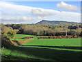 View towards Bosley Cloud from A536 , S of Eaton near Congleton