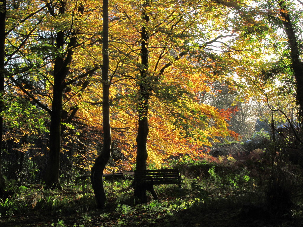 Autumn colours by Fernhill, Hulme... © Colin Park :: Geograph Britain ...