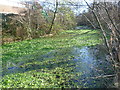 Thamesmead canal