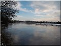 The River Trent at Twyford