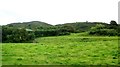 Grazing land alongside the B30 (Silverbridge Road)