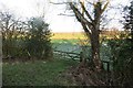 Wetland near Stanwardine