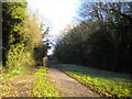 Former Nottingham Canal passing Grange Wood (2)