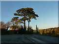 Road junction at Wonnell Barn, near Holbeton