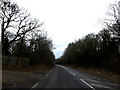 TL9862 : Road at the entrance to Mulleyswood Farm by Geographer