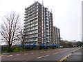 Collyhurst, Roach Court