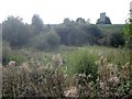 M62  from  Potteric  Carr  Nature  Reserve