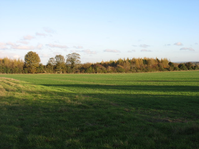 Farmland south of Wootton