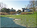 The village pond at Edgefield