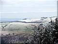 The Wye Valley and beyond