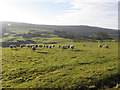 Garvagh Townland