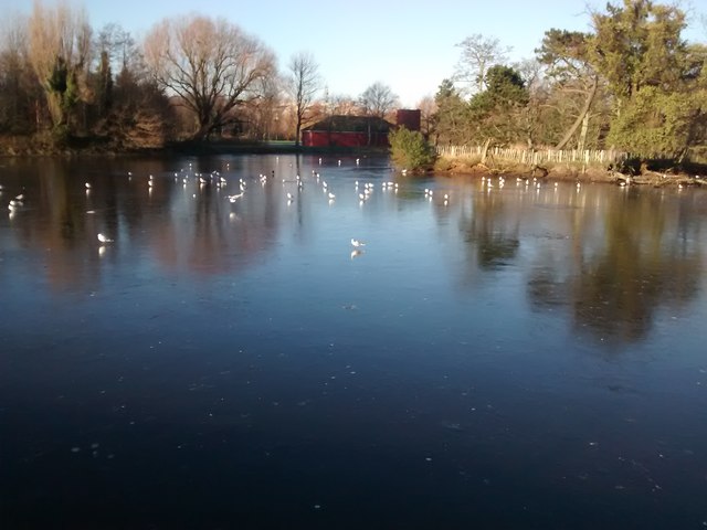 Victoria Park Belfast lake frozen