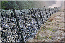 SD9824 : Dry stone wall alongside Dick's Lane, Erringden by Phil Champion