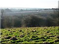 Polytunnel hoops, Hopefield Farm, Rothwell