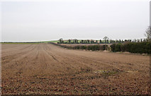 TL5054 : View north-east from the Roman Road by Alan Murray-Rust