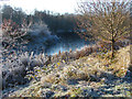 Frozen lake, Brookwood country Park