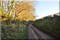 West Somerset : Country Lane