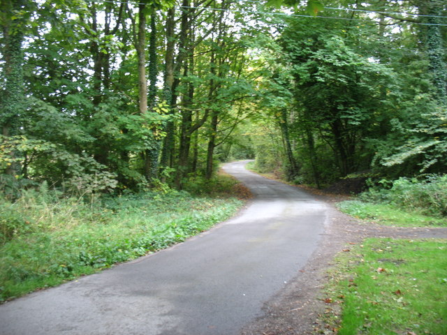 The path round St Mary's Isle