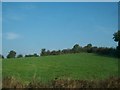 Drumlin pasture land on the eastern outskirts of Creggan