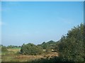 Wetland seen from the B30 east of Creggan