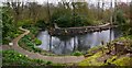 SP0583 : The Woodland Garden at Winterbourne by Phil Champion