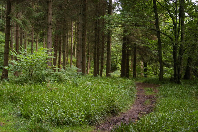 Path through the woods below Hag Bank