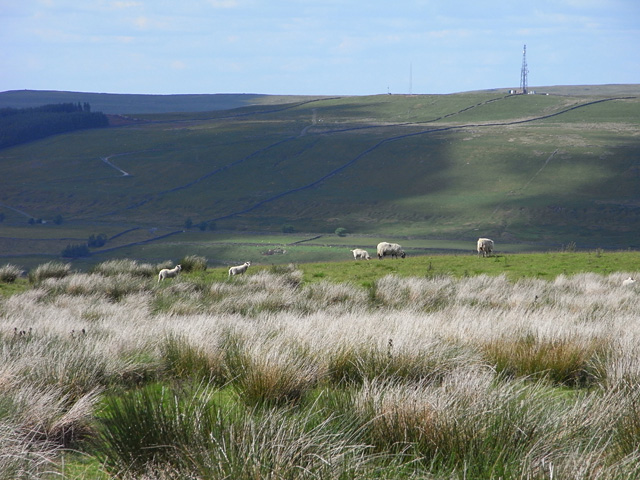 Middle Fell, Alston